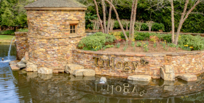Water feature with an island made of stone, a sign reading "Triology" and some daffodils.