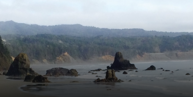 Oregon Shores site image of Oregon coast beach.