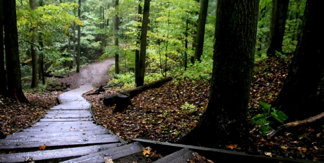 Wooden path going downhill